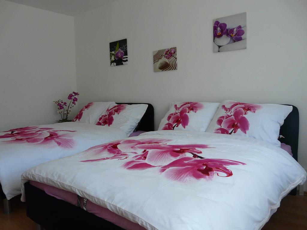Apartment Fialka Olomouc Rom bilde
